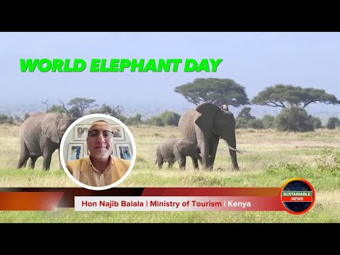 Sustainable News | Hon Najib Balala | Cabinet Secretary For Ministry Of Tourism U0026 Wildlife