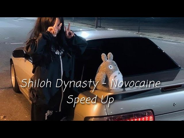 Shiloh Dinasty - Novocaine (Speed Up u0026 Reverb) class=