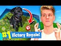 Using A PUPPY To WIN FORTNITE Battle Royale!