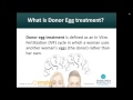 Donor Egg 101