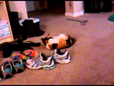 snooki + flip flop