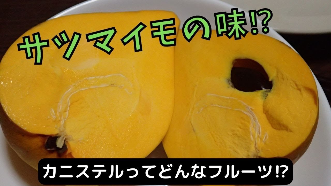 卵の黄身の味！？カニステルというフルーツを食べてみた。 - YouTube