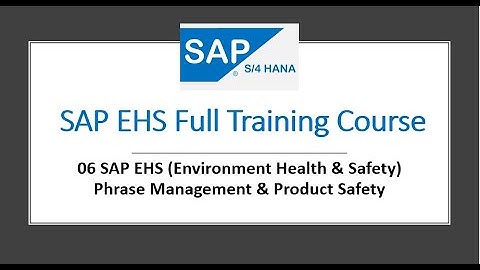 06 SAP EHS Phrase Management #sap #ehs#sapehs #phrase #management #dangerous #environment #spec