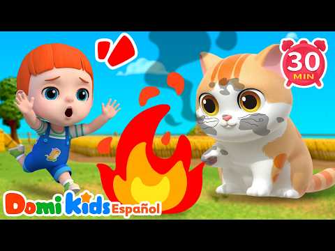 Canción de Seguridad Diaria 🛡️ Aprende Buenos Hábitos | Domi Kids | LEFUN Kids TV
