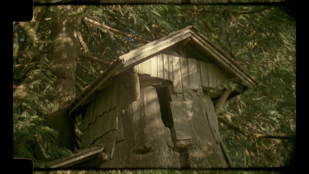 The Ol' Stump House