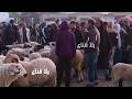 علوش العيد فار بمليون ونص الأسعار تشوي والزوالي ليه ربي الرحابي معبية والجيوب فارغة