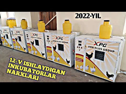 Video: 12V seriyali qancha LED mavjud?