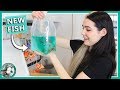 Unboxing My New Goldfish