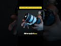 Vertigo Effect Explained | Dolly Zoom Shot in Filmmaking #csecinema #ytshorts #filmmakingtips