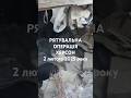 Рятувальна операція після удару КАБами ХЕРСОН 2 лютого 2025 року