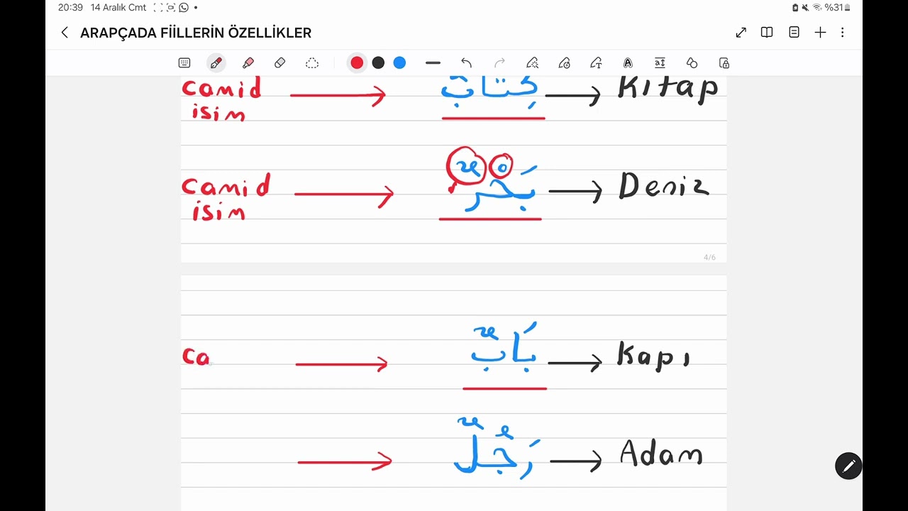Arapça Dersi - 40 Camid ve Müştak İsimler
