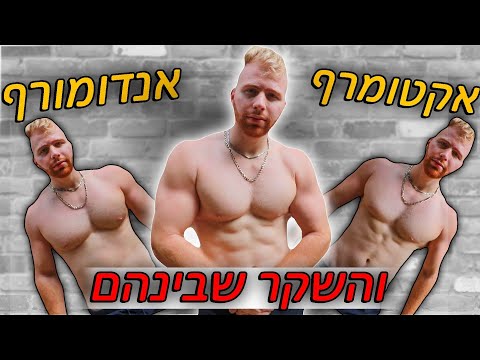 וִידֵאוֹ: מהו סוג גוף אנדומורפי?