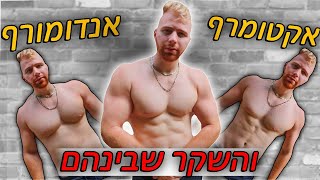 סוגי גוף  האמת.