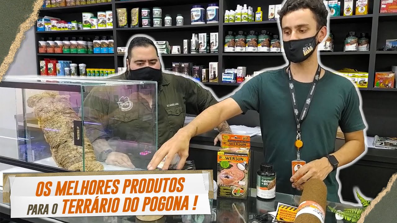 OS MELHORES PRODUTOS PARA POGONA | PETS NÃO CONVENCIONAIS | @DaSilvaSauroPetStore​