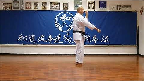 Pinan Sandan - Wado Ryu 3rd Pinan Kata - Wado Ryu Hon Dojo - Karate video