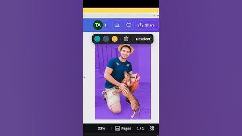 Change Background to Black & White in Canva #canva