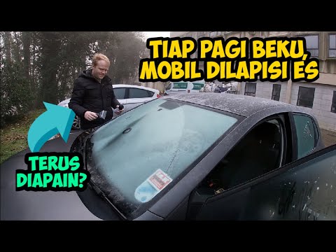 Video: Bagaimana Memilih Mobil Salju