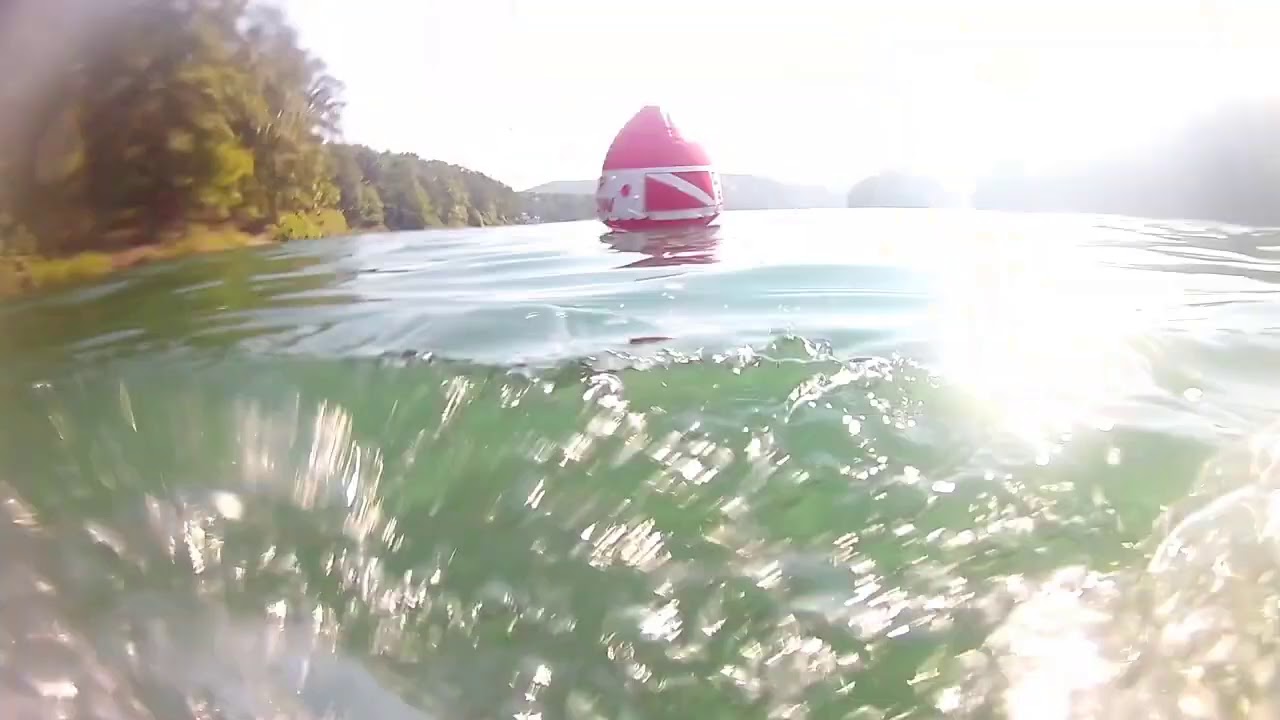 Big Catfish Snyder's Raystown