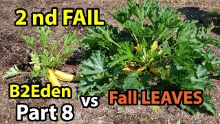 Back to Eden Organic Gardening 101 Method with Wood Chips VS Leaves Composting Garden Series  # 8