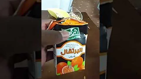 عصير ربيع