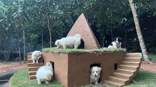 Rescue abandoned puppies, Build mud houses for dogs