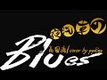 夜汽車のブルース/高田渡・加川良/弾き語りカバーPPKING/昭和の名曲