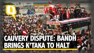 The Quint Cauvery Water Dispute Bandh Brings Karnataka To A Halt