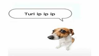 Turi Ip Ip Ip Ringtone Download