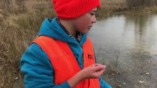 Central Mudminnows!