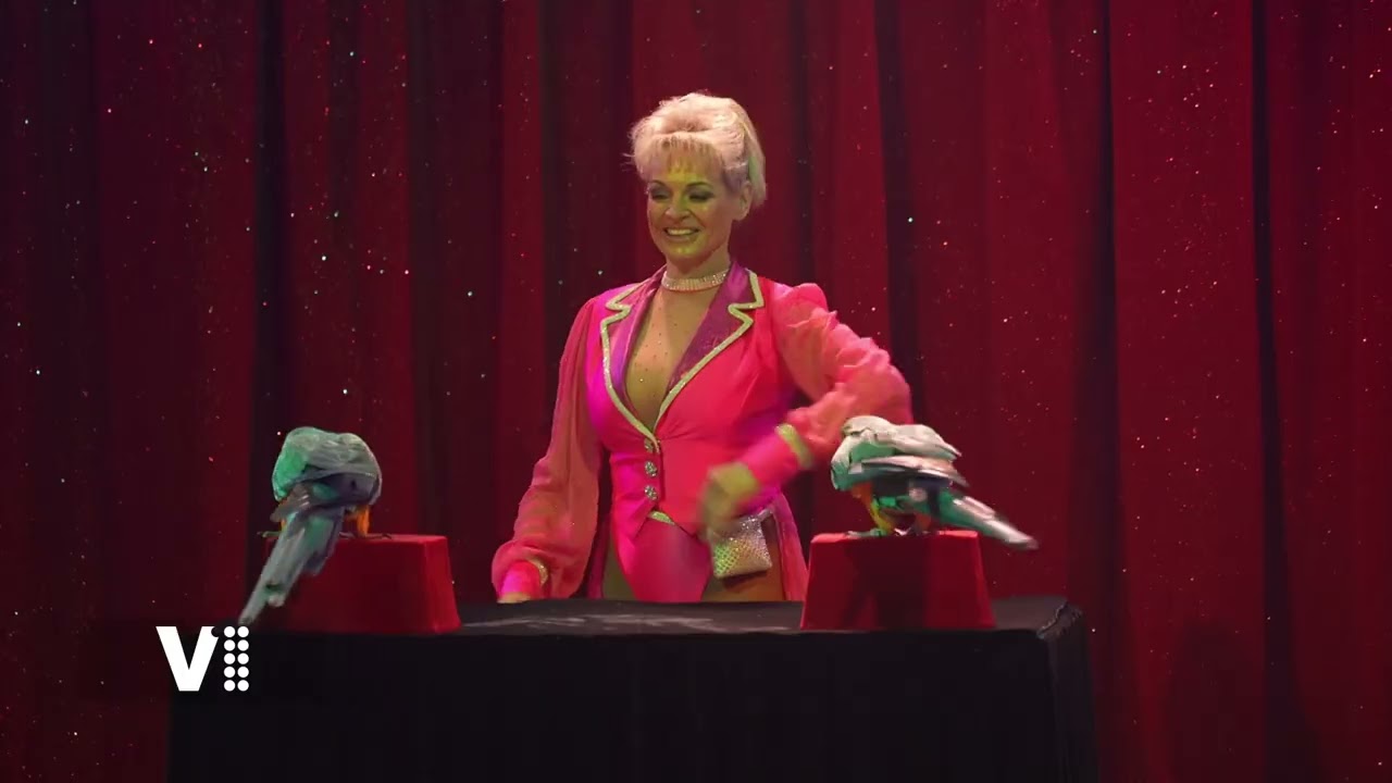 Jak si žijí zvířata v cirkusu?