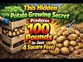 This Hidden Potato Growing Secret Produces 100 Pounds In Just 4 Square Feet 