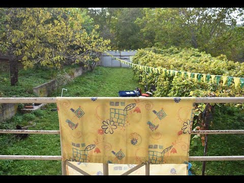 მრავალფეროვნების რეზიდენცია | Diversity Residence