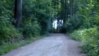 20130611 001 cycling in some woods 1/6 Syburg