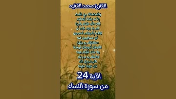 من سورة النساء #محمد_الفقيه #اكسبلور #quran_karim_قران_الكريم #quran #احمد_العجمي #foryou #fypシ
