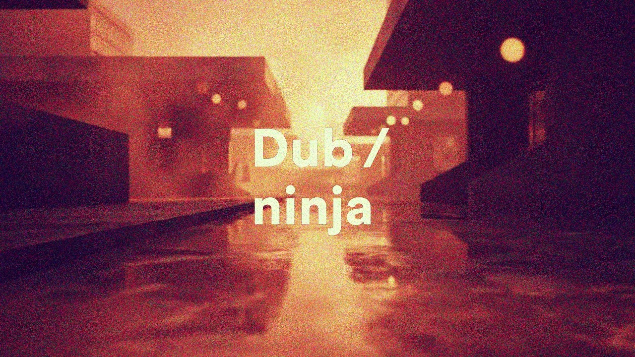 Dub Ninja: Iridescent Echoes | Hypnotic Outsider Dub Techno Mix