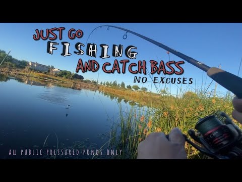 Sacramentos finest summer time pond bass fishing…(know the reality in pressured public ponds)