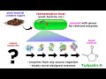 Enzyme Technology and Applications