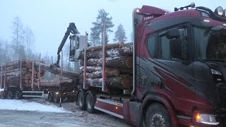 Scania R650 6X4 V8 Timber Truck