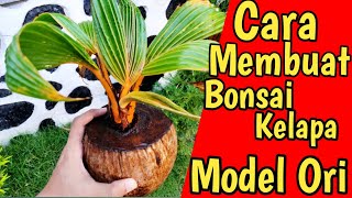 Cara Membuat Bonsai Kelapa Original, Model Ori Tanpa Dikupas