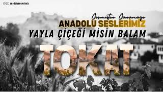 Yayla Çiçeği Misin Balam Geçmişten Günümüze Tokat Türküleri (Cover)