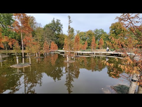 Jardin Botanique de