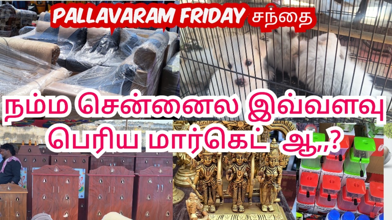 Pallavaram Market Chennai | Low Price Shopping | சென்னை பல்லாவரம் BIG சந்தை 