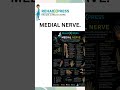 #MedianNerve #CarpalTunnelSyndrome #Physiotherapy#NeuroPhysio #Anatomy#PhysicalTherapy #rehabxpress