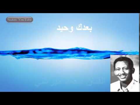 الفنان محمد ميرغني بعدك وحيد