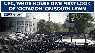 UFC, White House give first look of the 'octagon' on the South Lawn