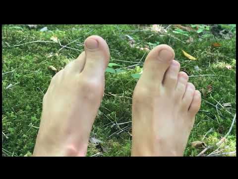 play barefoot on a moss carpet in the forest 🌲👣🌲