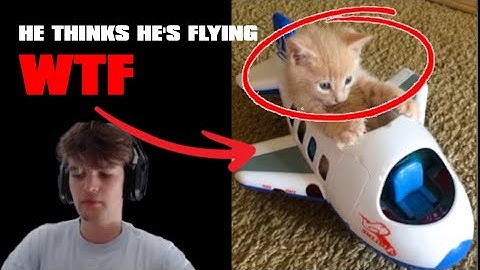 Yamathosdeath tried to go on a POSITIVE stream ARC but these freaks MADE him QUIT 2 days in a row