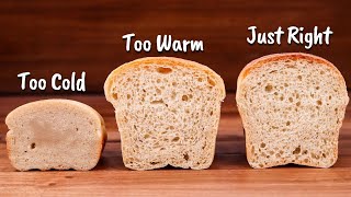 How Bread Dough Temperature Affects Fermentation | Principles of Baking