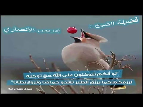 خطبة الجمعة فضيلة الشيخ إدريس الأنصري 