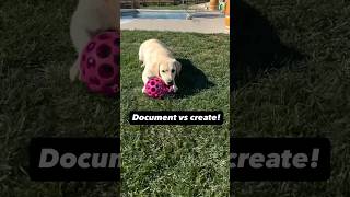 Document VS Create Share Your Knowledge Process Life Save Time RogerKingBits